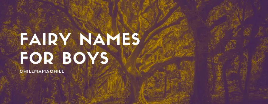 Fairy Names for Boys - Chill Mama Chill