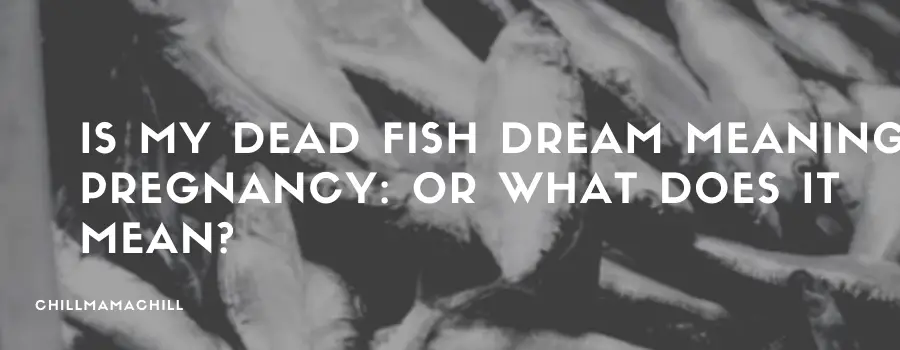 Is My Dead Fish Dream Meaning Pregnancy: Or What Does it Mean?